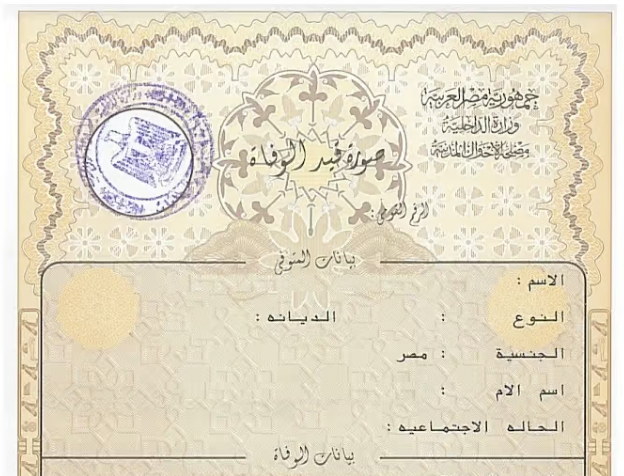 حالات وفاة المصريين في فرنسا